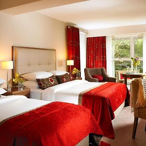 Premier Double or Twin Room